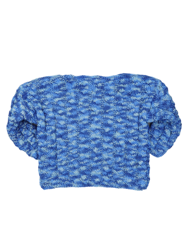 Pulli – Bild 2
